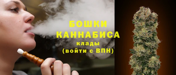 2c-b Козловка