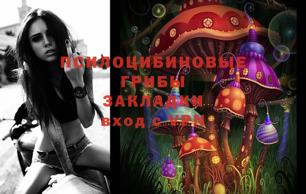 амф Кодинск