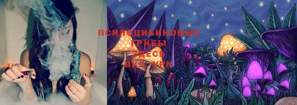 2c-b Козловка