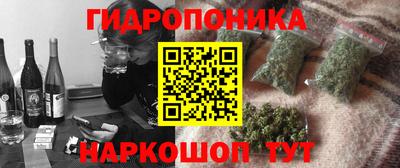 spice Кимры