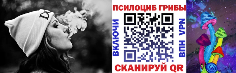 Галлюциногенные грибы Psilocybine cubensis  Кострома 