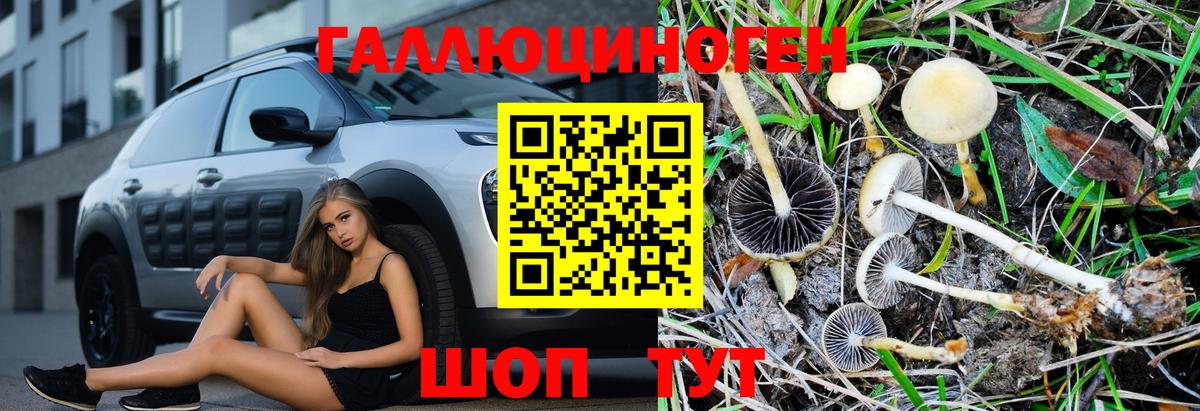 купить закладку  Псилоцибиновые грибы Magic Shrooms  Вход с VPN  Кострома 