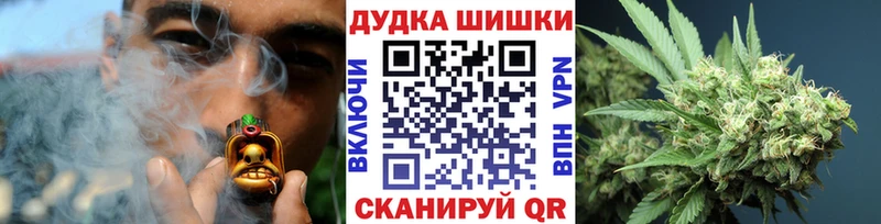 как найти наркотики  Кострома  kraken маркетплейс  Бошки марихуана SATIVA & INDICA 